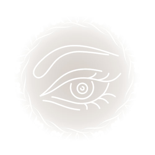 Wimpern & Brauen